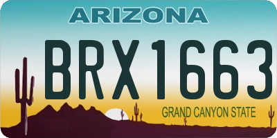 AZ license plate BRX1663