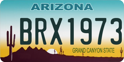 AZ license plate BRX1973