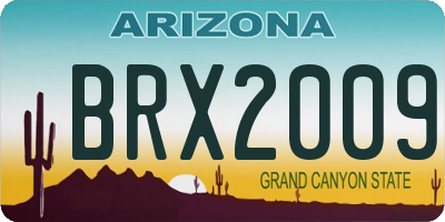 AZ license plate BRX2009