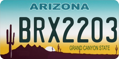AZ license plate BRX2203
