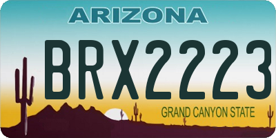 AZ license plate BRX2223