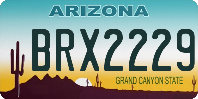 AZ license plate BRX2229