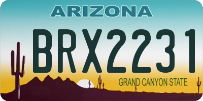 AZ license plate BRX2231