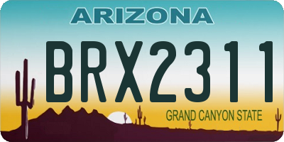 AZ license plate BRX2311