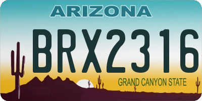 AZ license plate BRX2316