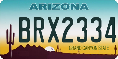 AZ license plate BRX2334