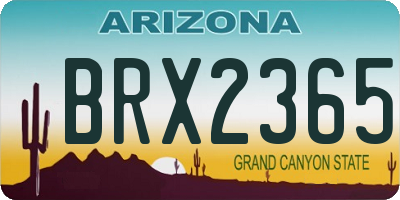 AZ license plate BRX2365