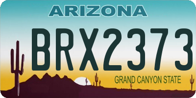 AZ license plate BRX2373