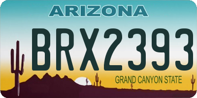 AZ license plate BRX2393