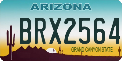 AZ license plate BRX2564