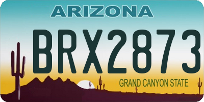 AZ license plate BRX2873
