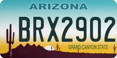 AZ license plate BRX2902