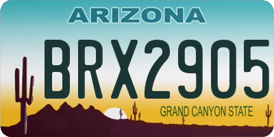 AZ license plate BRX2905