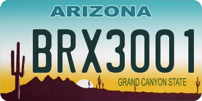AZ license plate BRX3001