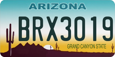 AZ license plate BRX3019