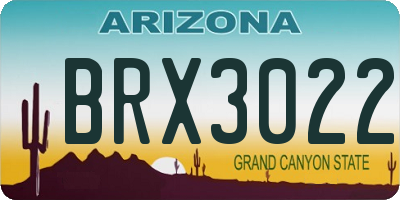 AZ license plate BRX3022