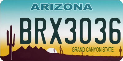 AZ license plate BRX3036