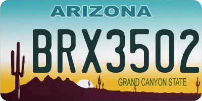 AZ license plate BRX3502