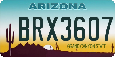AZ license plate BRX3607