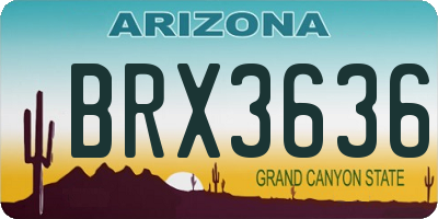 AZ license plate BRX3636