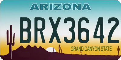 AZ license plate BRX3642