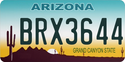 AZ license plate BRX3644
