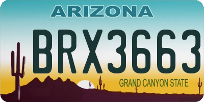 AZ license plate BRX3663