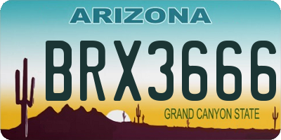 AZ license plate BRX3666