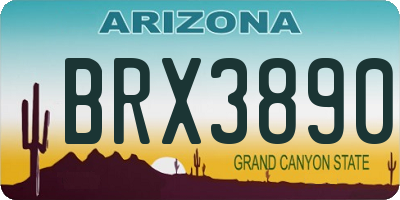 AZ license plate BRX3890