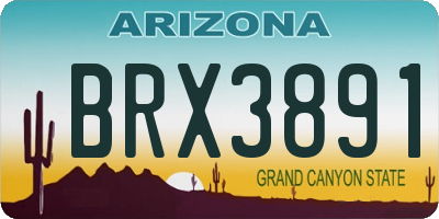 AZ license plate BRX3891