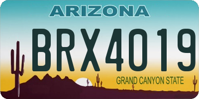 AZ license plate BRX4019