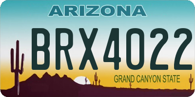 AZ license plate BRX4022