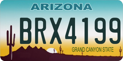 AZ license plate BRX4199