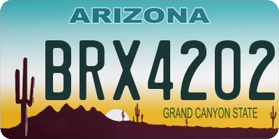 AZ license plate BRX4202