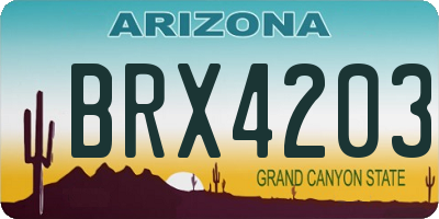 AZ license plate BRX4203