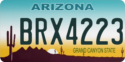 AZ license plate BRX4223