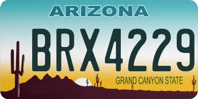AZ license plate BRX4229
