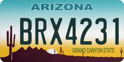 AZ license plate BRX4231