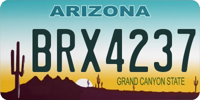 AZ license plate BRX4237