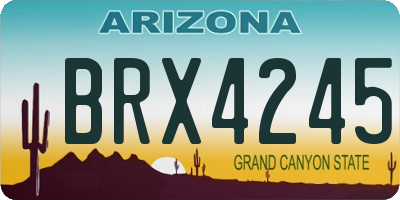 AZ license plate BRX4245