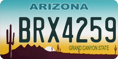 AZ license plate BRX4259