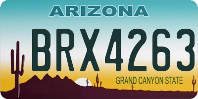 AZ license plate BRX4263