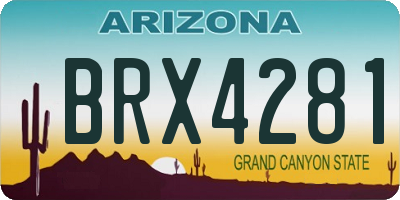 AZ license plate BRX4281