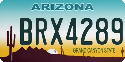AZ license plate BRX4289