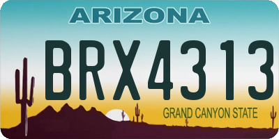 AZ license plate BRX4313