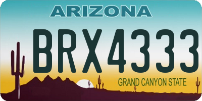 AZ license plate BRX4333