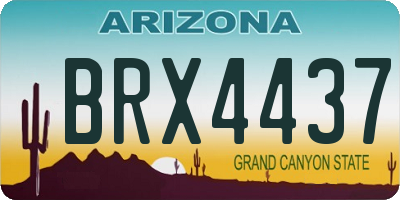 AZ license plate BRX4437