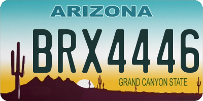 AZ license plate BRX4446
