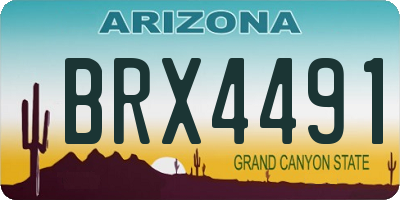 AZ license plate BRX4491