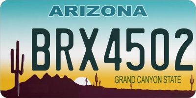 AZ license plate BRX4502